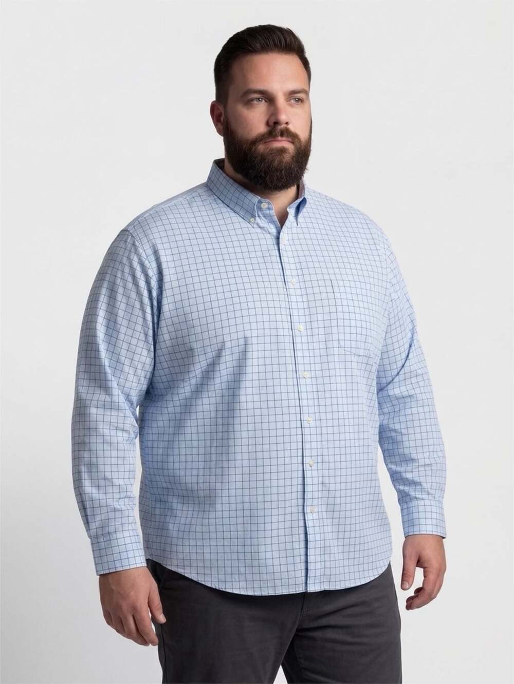 Daniel Cremieux Classics Men's Long Sleeve Button Down Plaid Shirt 2X Big